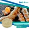 SNC | Good Fortune is a professional Turmeric Root Extract supplier in China supplies all kinds of healthy ingredient.